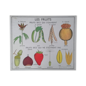 Ancienne affiche rossignol botanique,