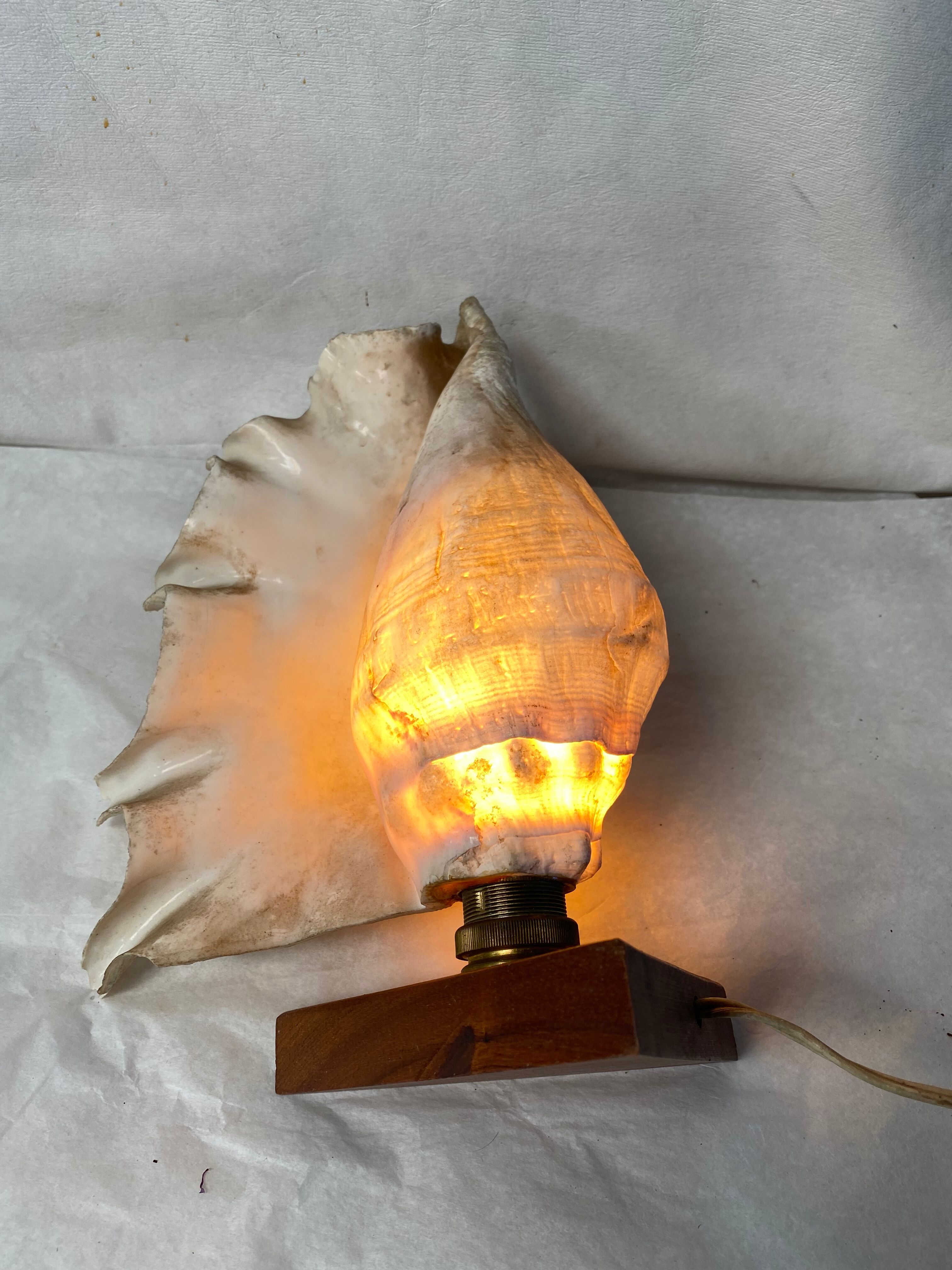 Vintage shell and teak lamp