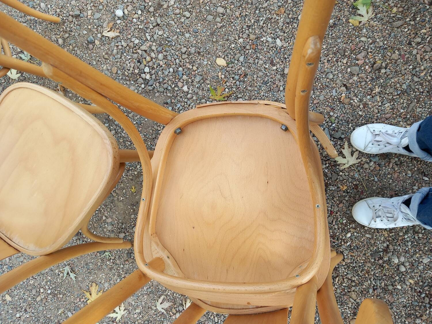 4 bistro chairs in solid blond wood, Fischel style