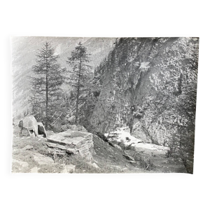 Photo argentique roches - bernard