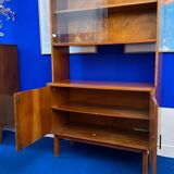 Storage cabinet with showcase of the 60s pedestal shelf