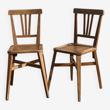 Stella Chairs