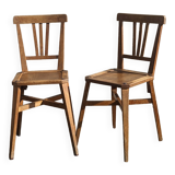 Stella Chairs