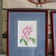 3 botanical illustrations flowers Claude vinçon