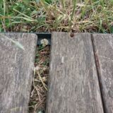 Swing carrycot to restore