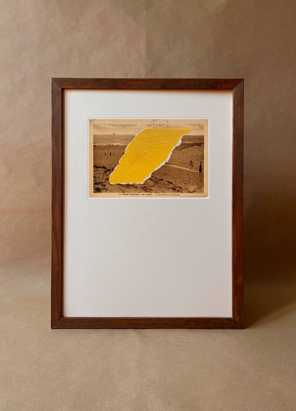 The Ferret - Collage