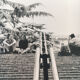 Photographie graphique 90: femme, escalier.