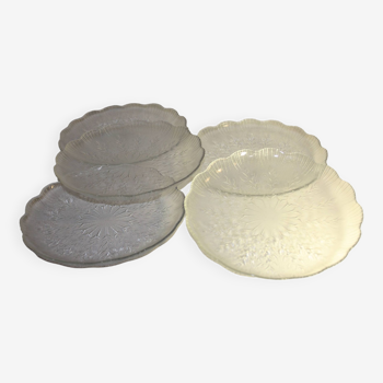 Set of 5 transparent desert plates.