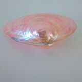 Pink mother-of-pearl Tellina shell