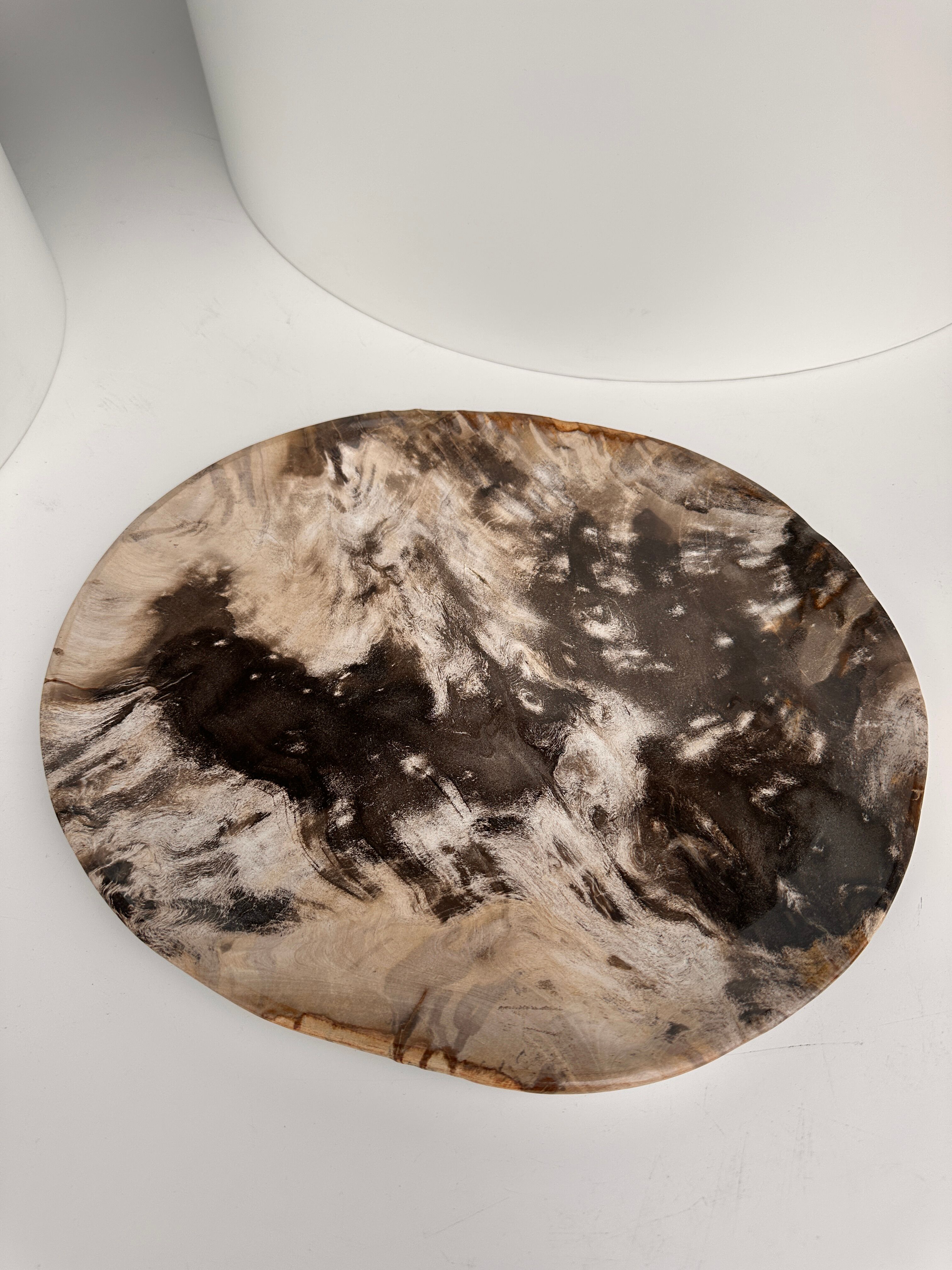 Very large empty pocket or petrified wooden flat