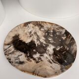 Very large empty pocket or petrified wooden flat