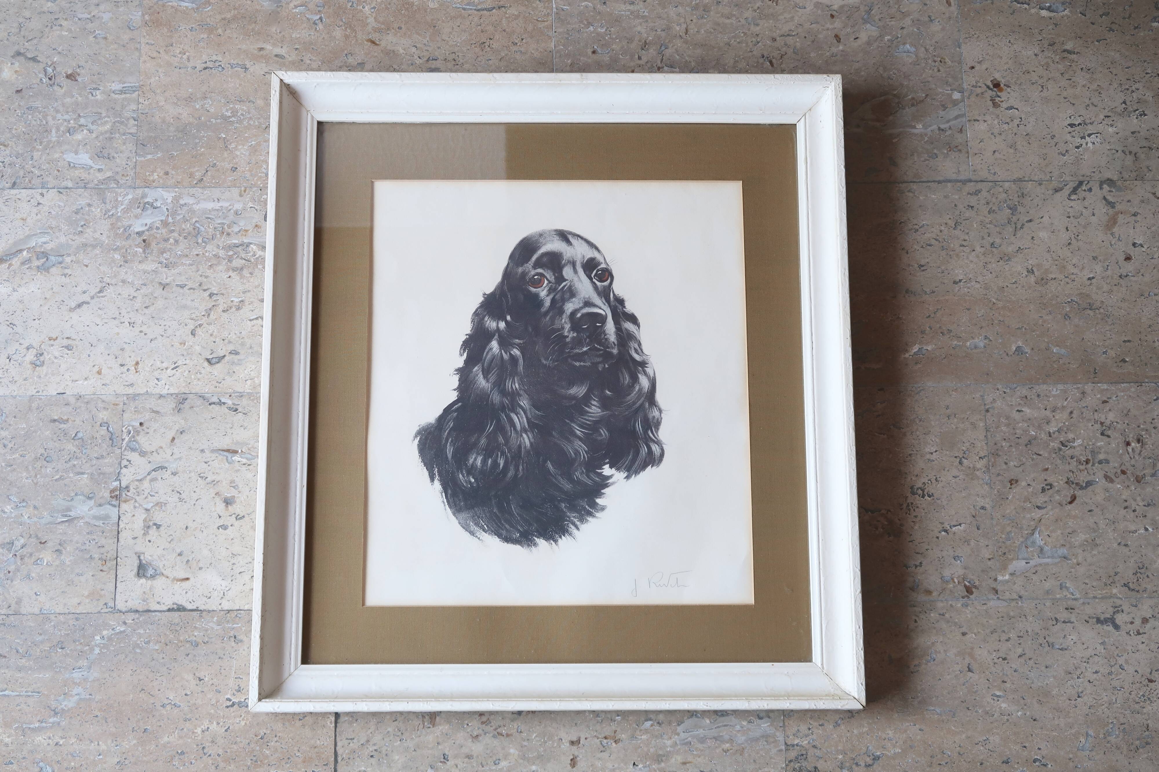 Animal portrait, painting signed by Jean Rivet, 1960s
