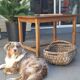 No54 old farmhouse table