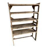Raw poplar wood shelf