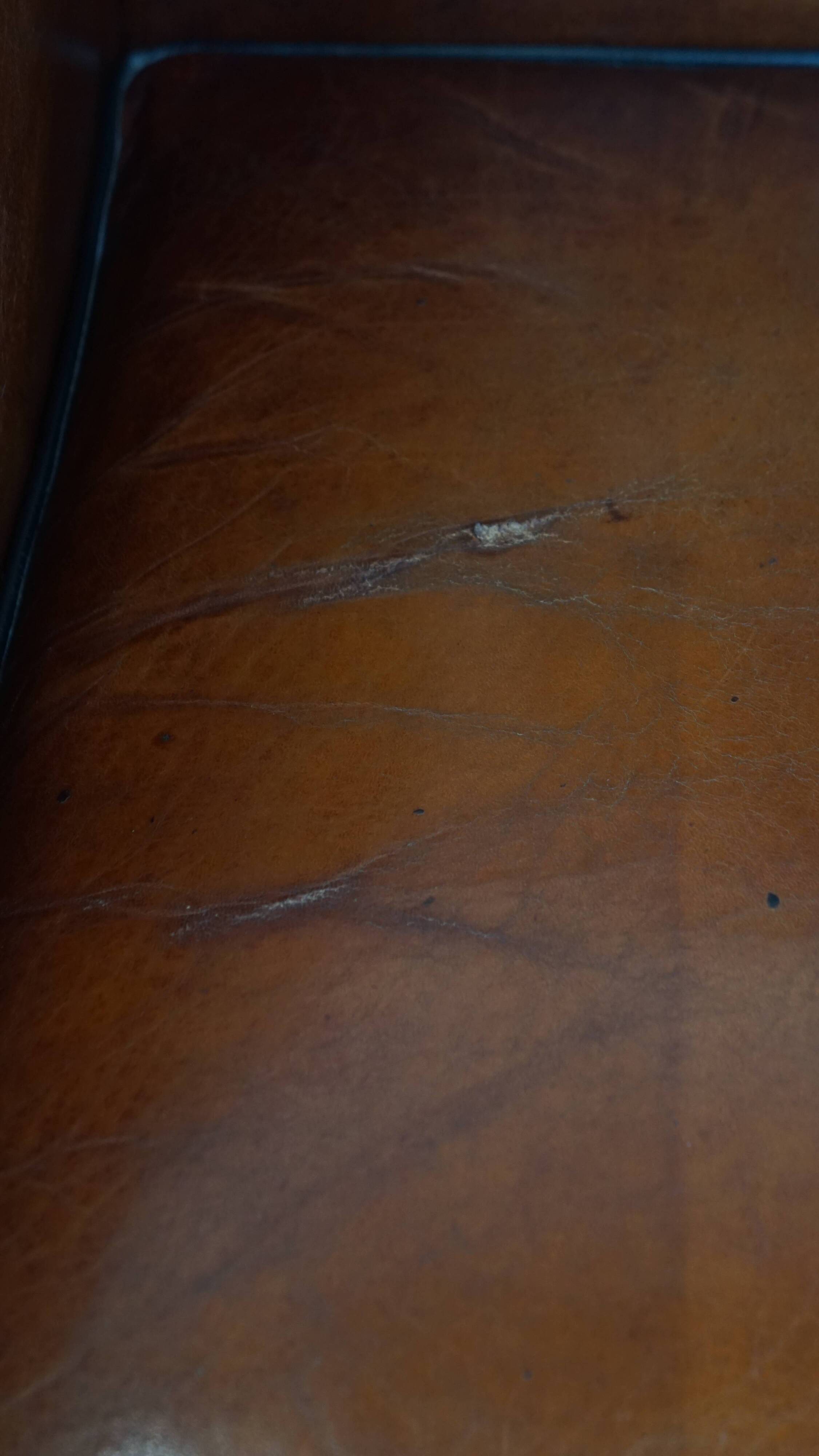 Sheepskin Wingback Chair with Warm Tones and Black Piping