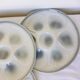 4 vintage Moulin des Loups porcelain oyster plates 2106172