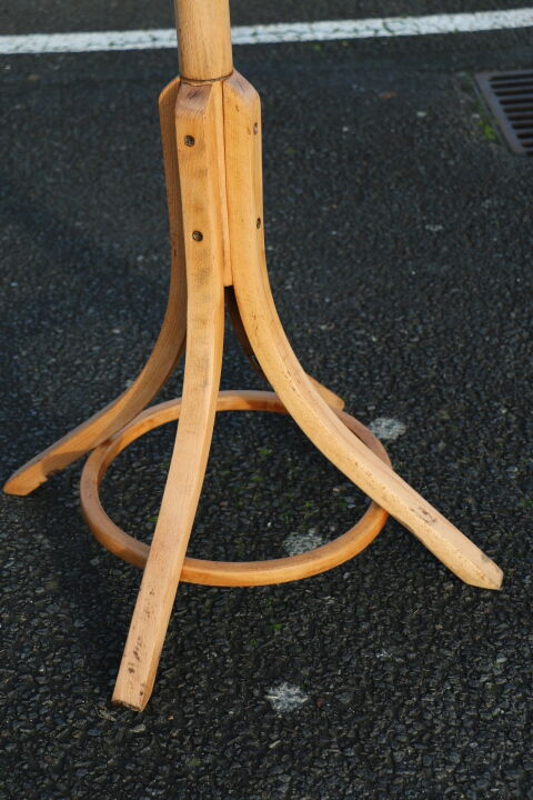 Parrot Baumann coat rack simple clear beech