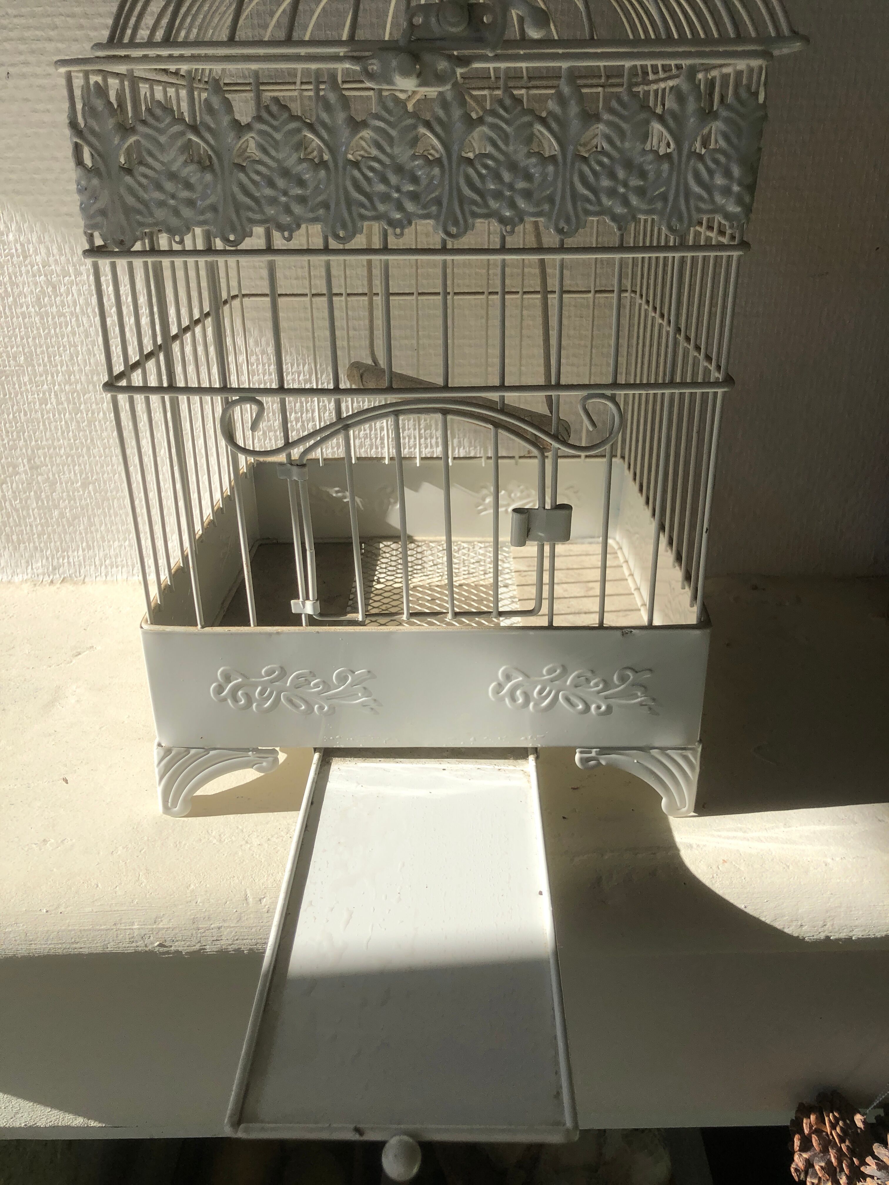 White patinated iron birdcage
