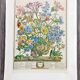 Lot of 19th century Floral Engravings - Vintage Art Print Flowers - 12 months - Robert Furber
