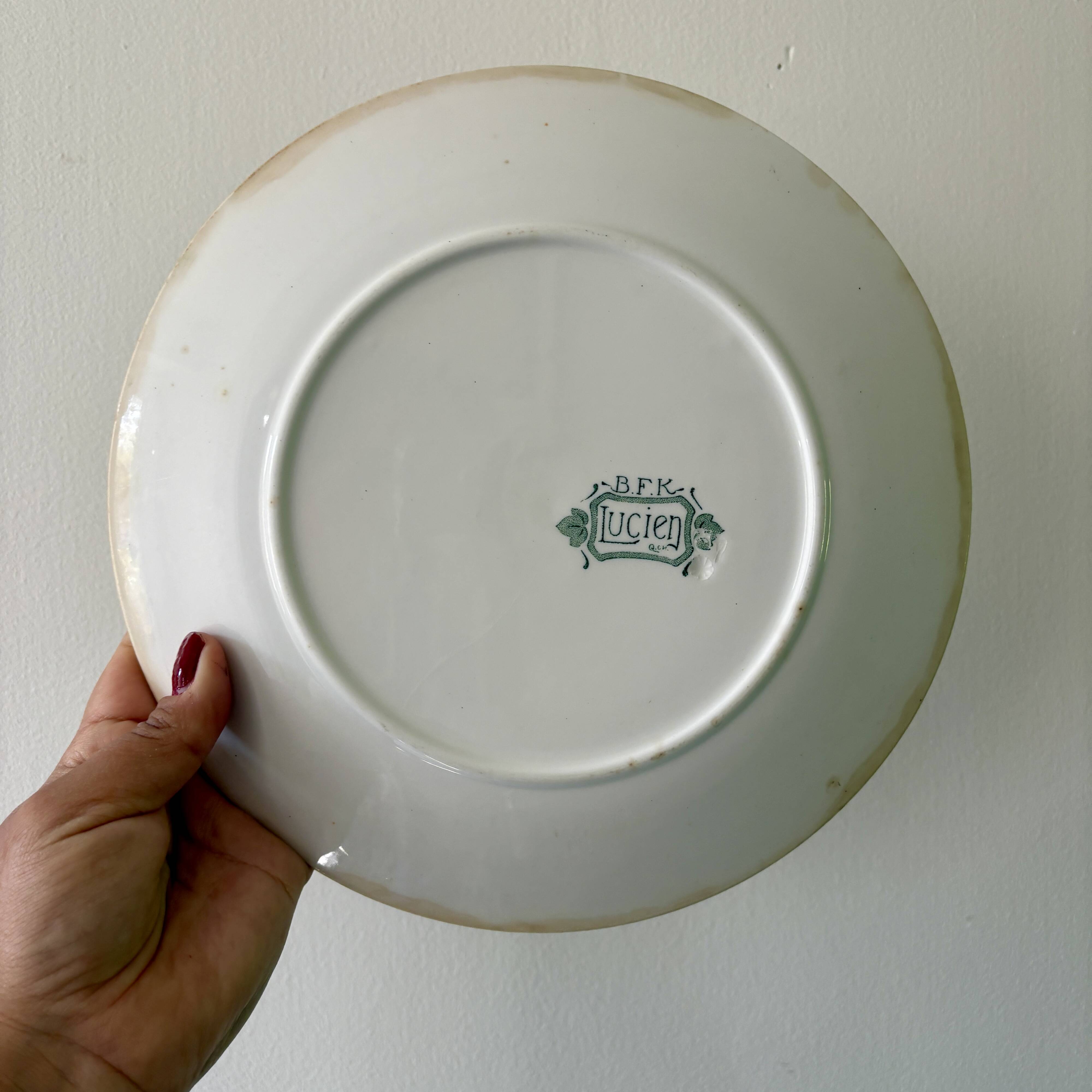 Lot de 10 assiettes plates anciennes en terre de fer dépareillées