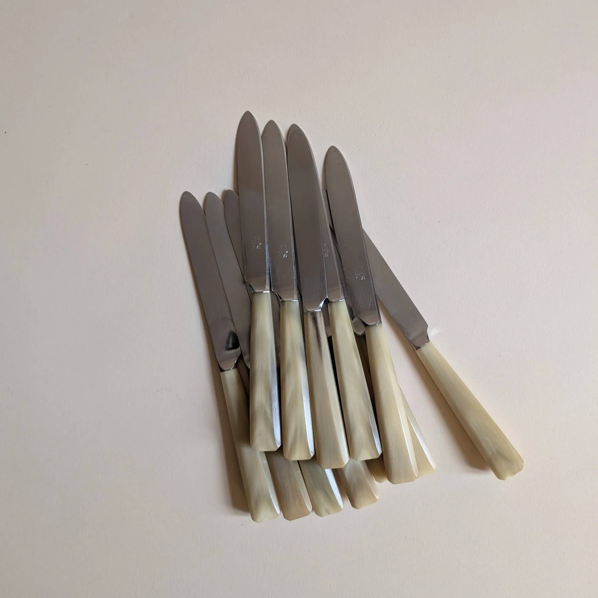 Set of 25 horn and stainless steel knives