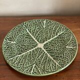 Large cabbage plate
