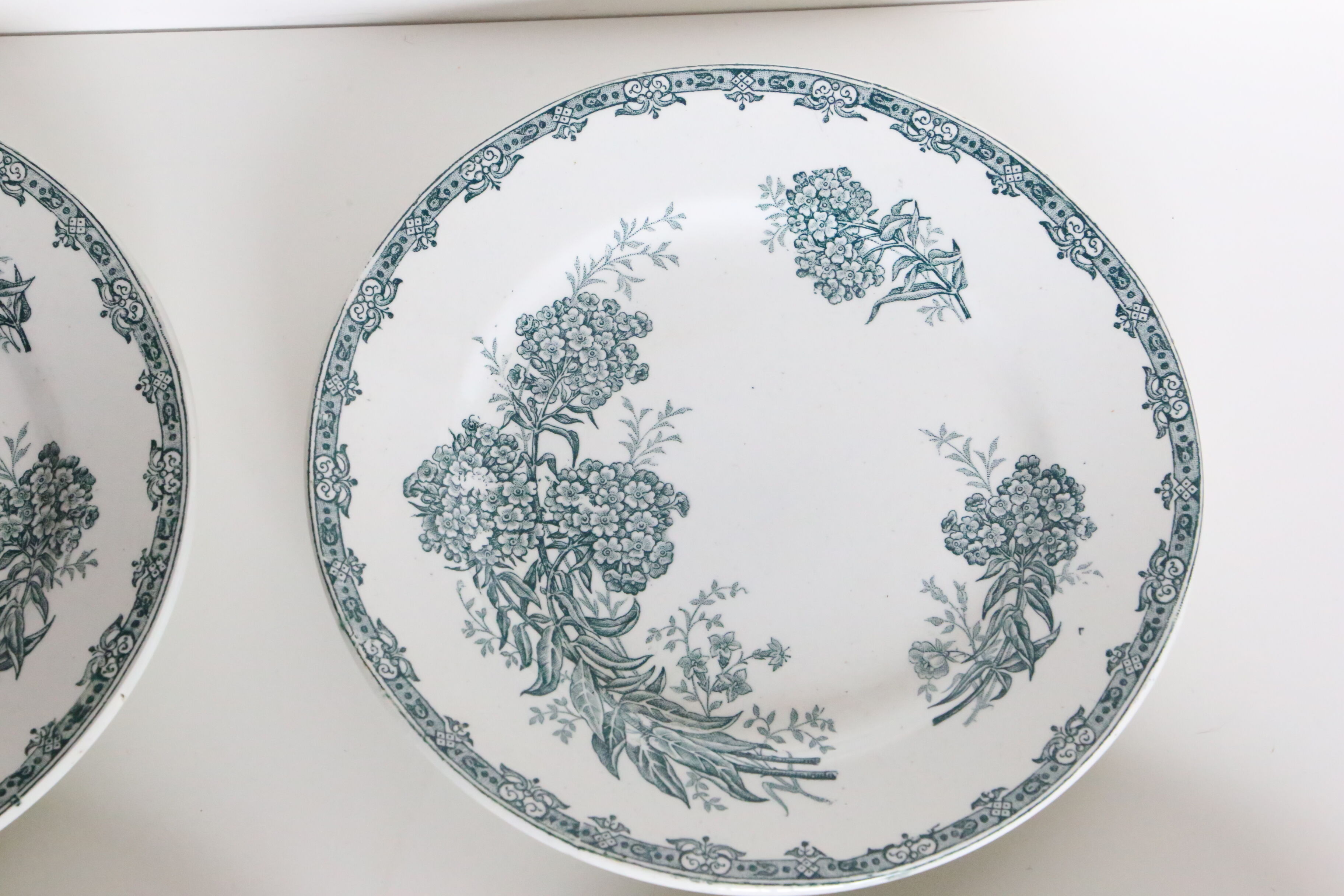 Set of 4 flat plates Terre de Fer, Saint Amand, Daisy