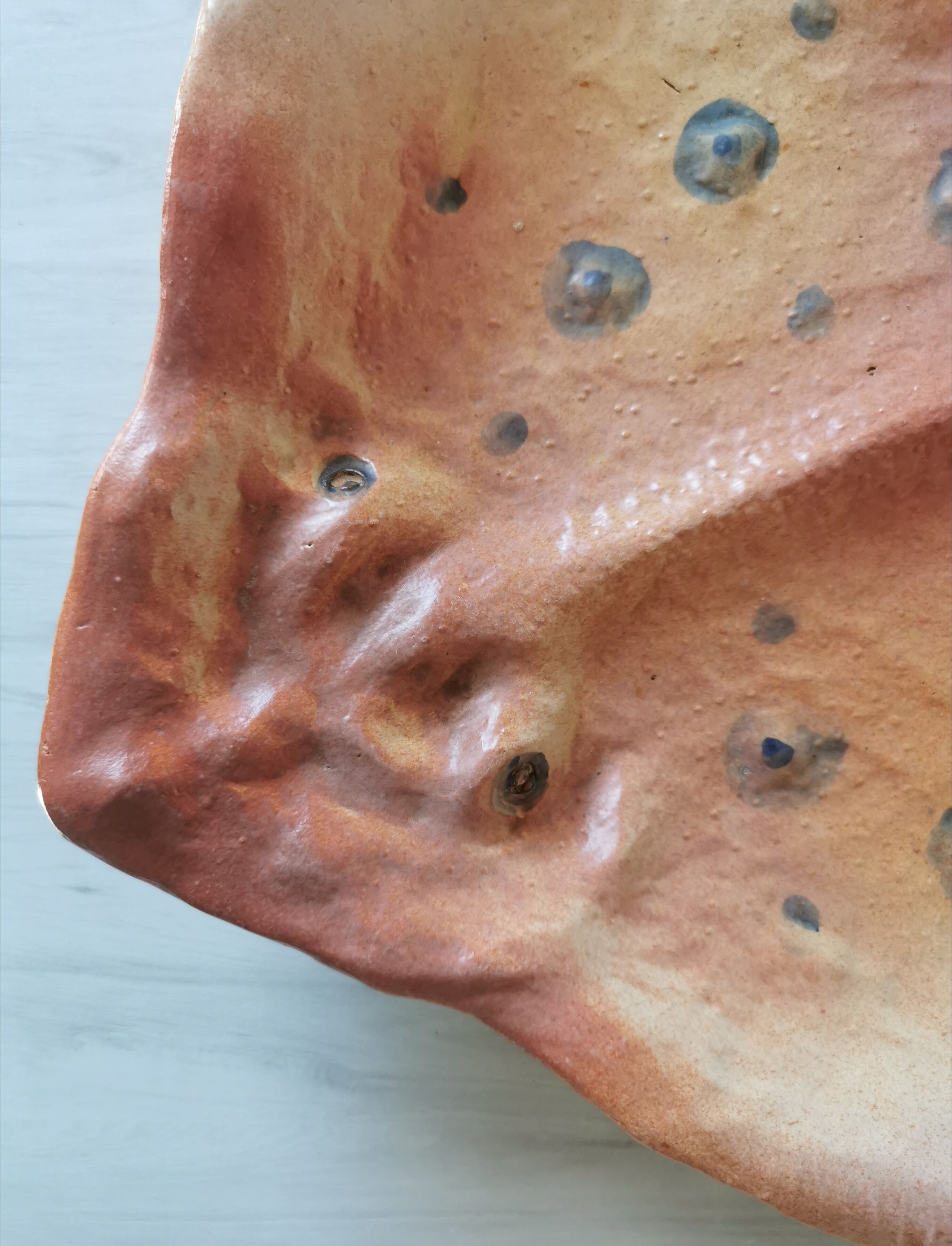 Zoomorphic dish ray