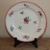 Duo d'assiettes plates Sarreguemines service Danube