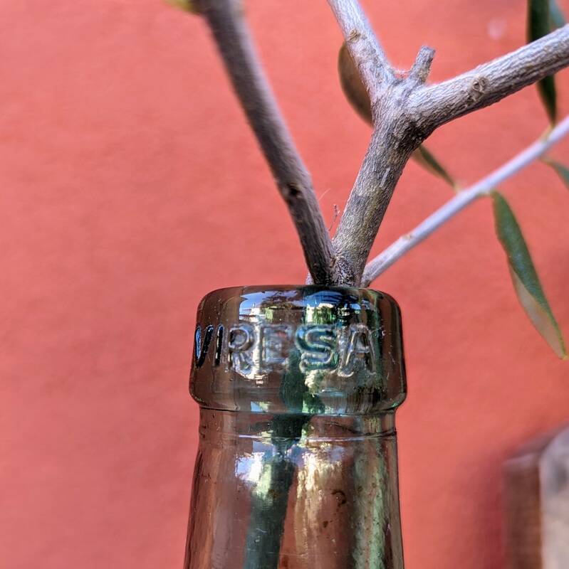 Lady Jeanne Viresa - 2 liters