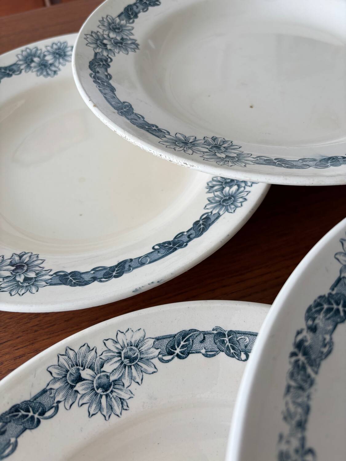 Set of 6 semi-deep plates in ironstone Longchamp model Denise.