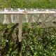 Public bench, street furniture, wrought iron garden bench