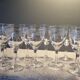 Baccarat 10 small antique glasses for white wine/port