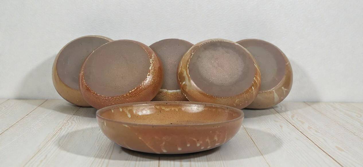 6 stoneware soup plates/bowls