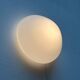 Mid-Century Modern Minimalist Ceiling or Wall Lamp by Wilhelm Wagenfeld for Lindner, Germany, 1950s