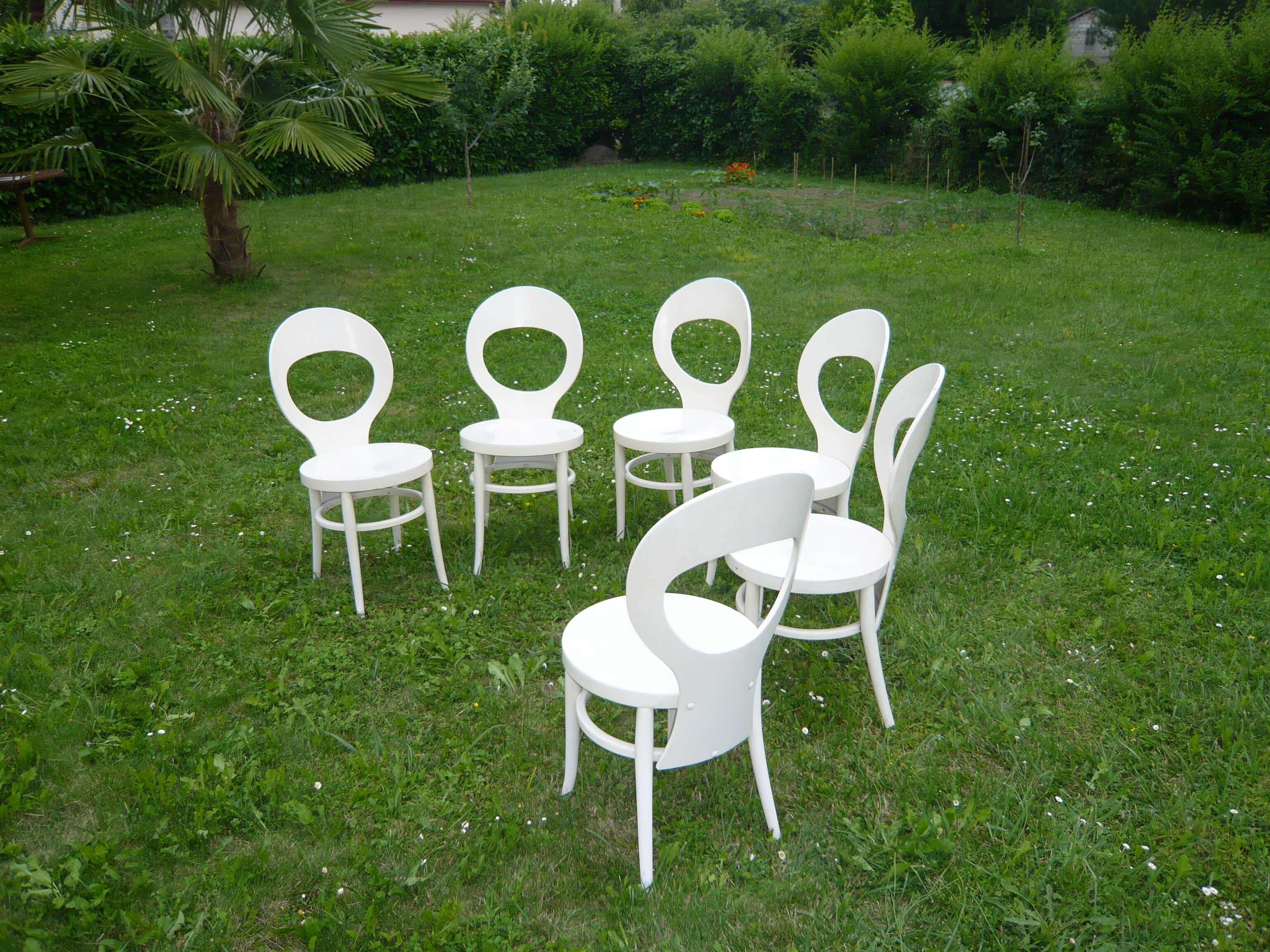 Baumann chairs model seagull