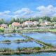 HST painting "Landscape of salt marshes" Ile de Ré (?) signed 1993