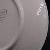 Set of 9 dessert plates in earthenware of Sarreguemines - Décor of pink flowers - 1970