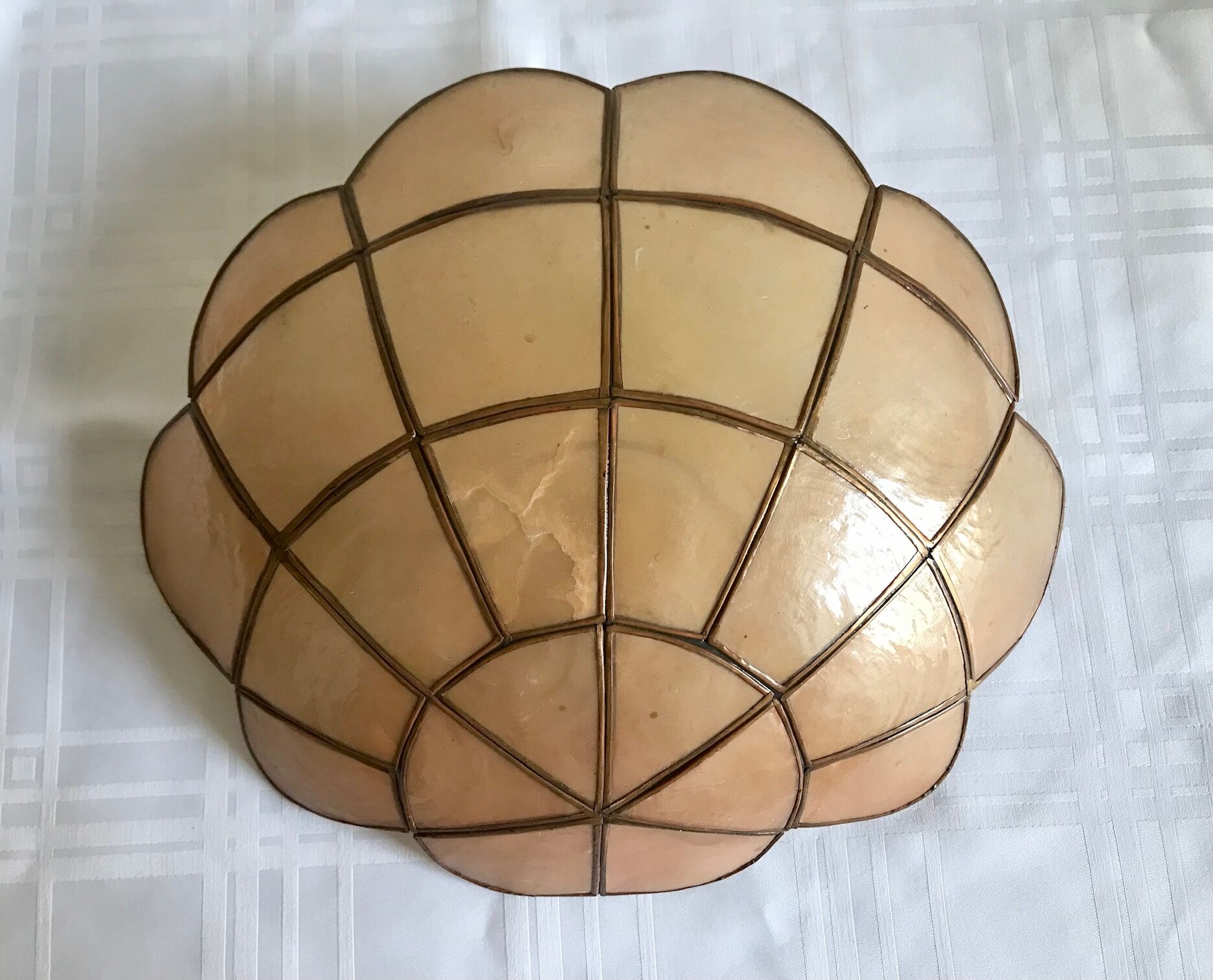 Pair of mother-of-pearl shell sconces
