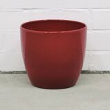 burgundy red flower pot