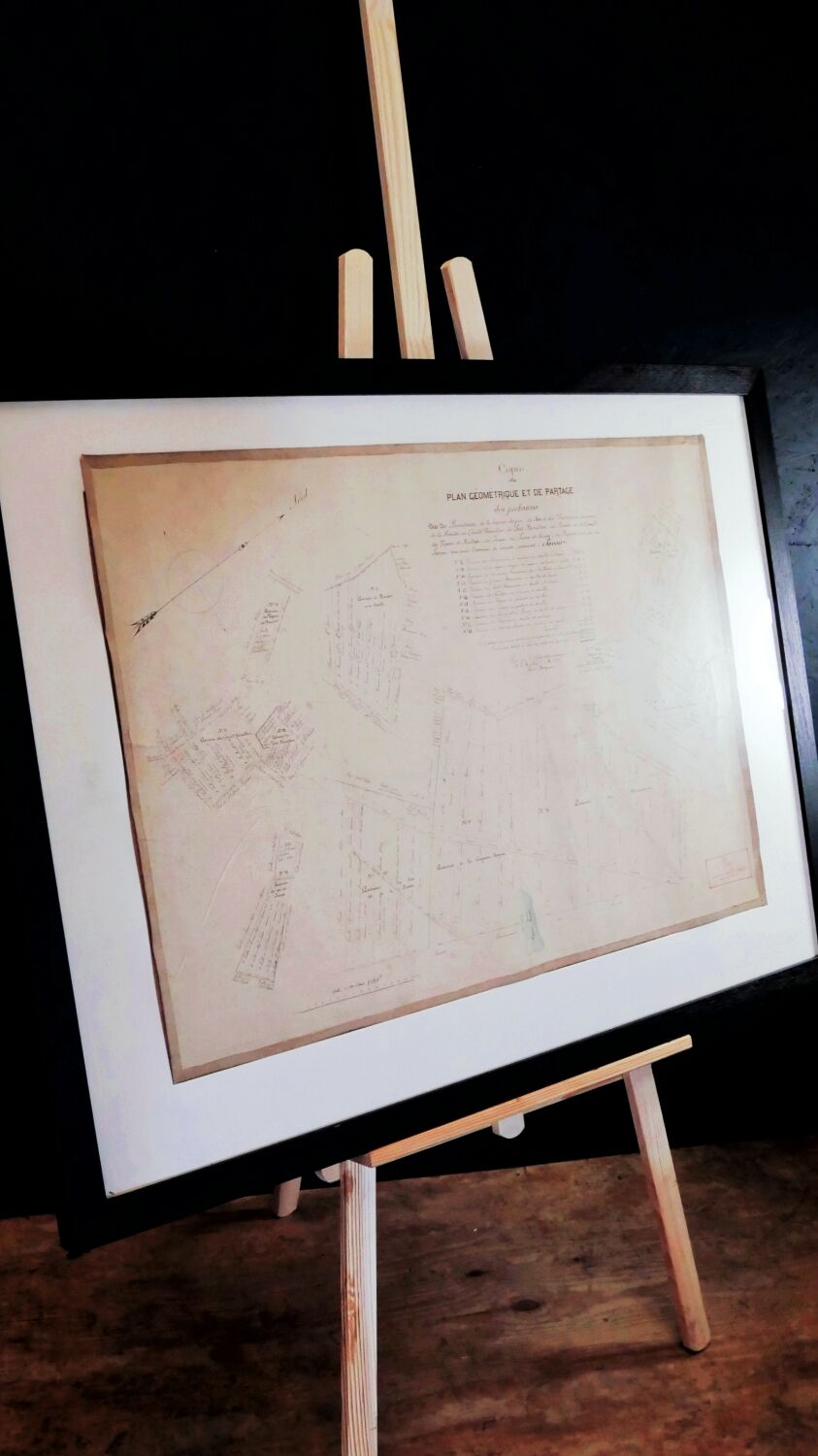 Plan cadastral "géométrique et de partage" de 1852 entoilé