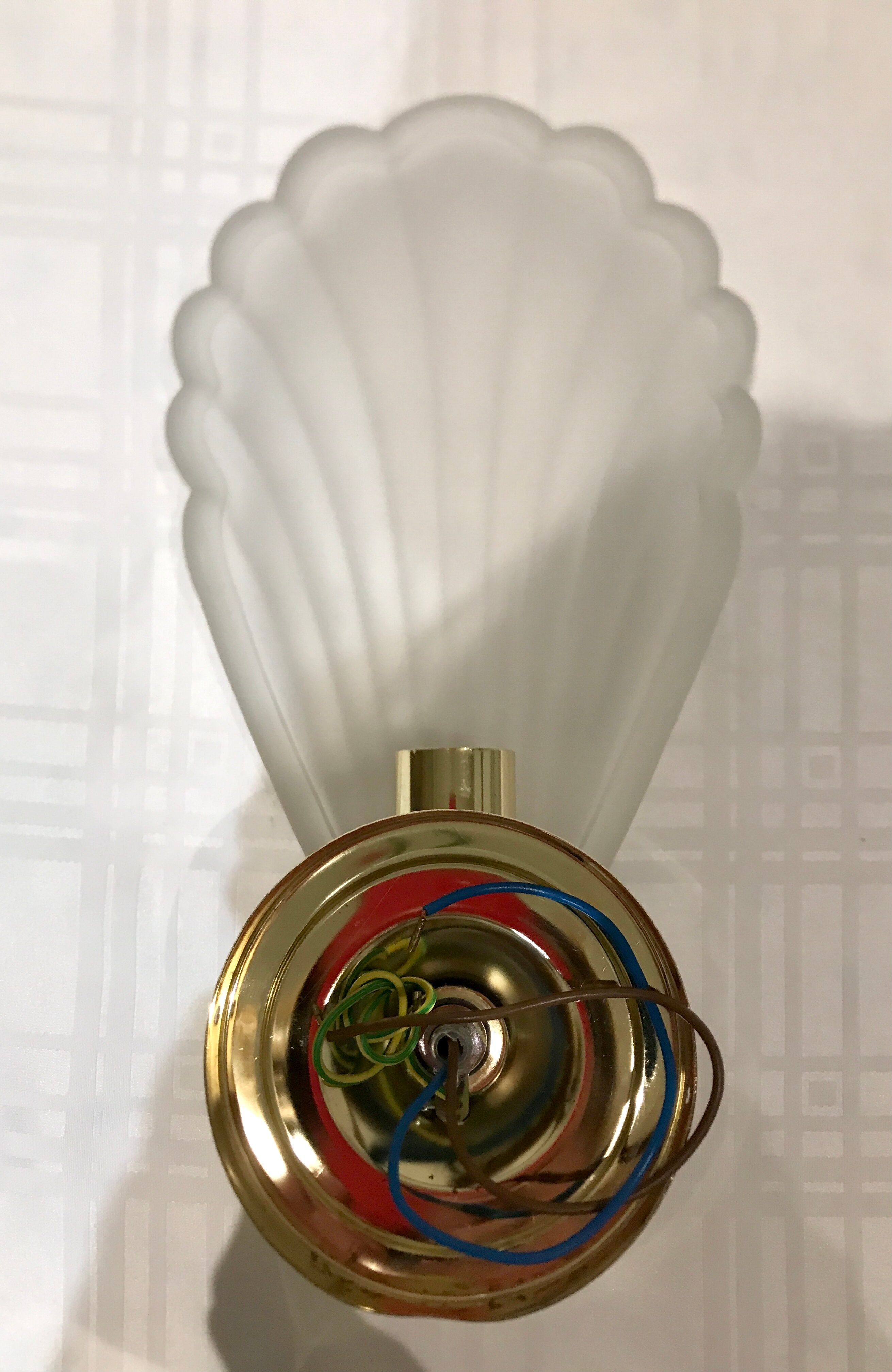 Pair of shell sconces
