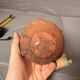 Soliflore vase Pre-Columbian vase Colombia Calima terracotta anthropomorphic