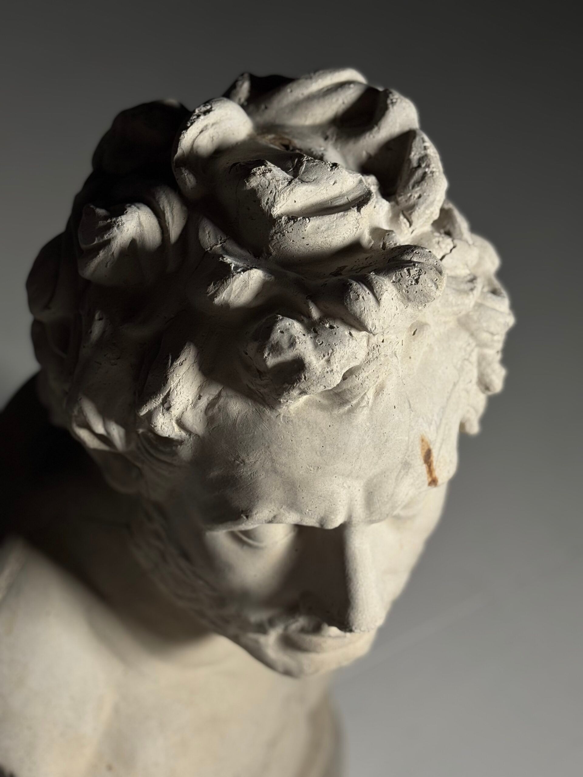 Concrete bust companion of Odysseus