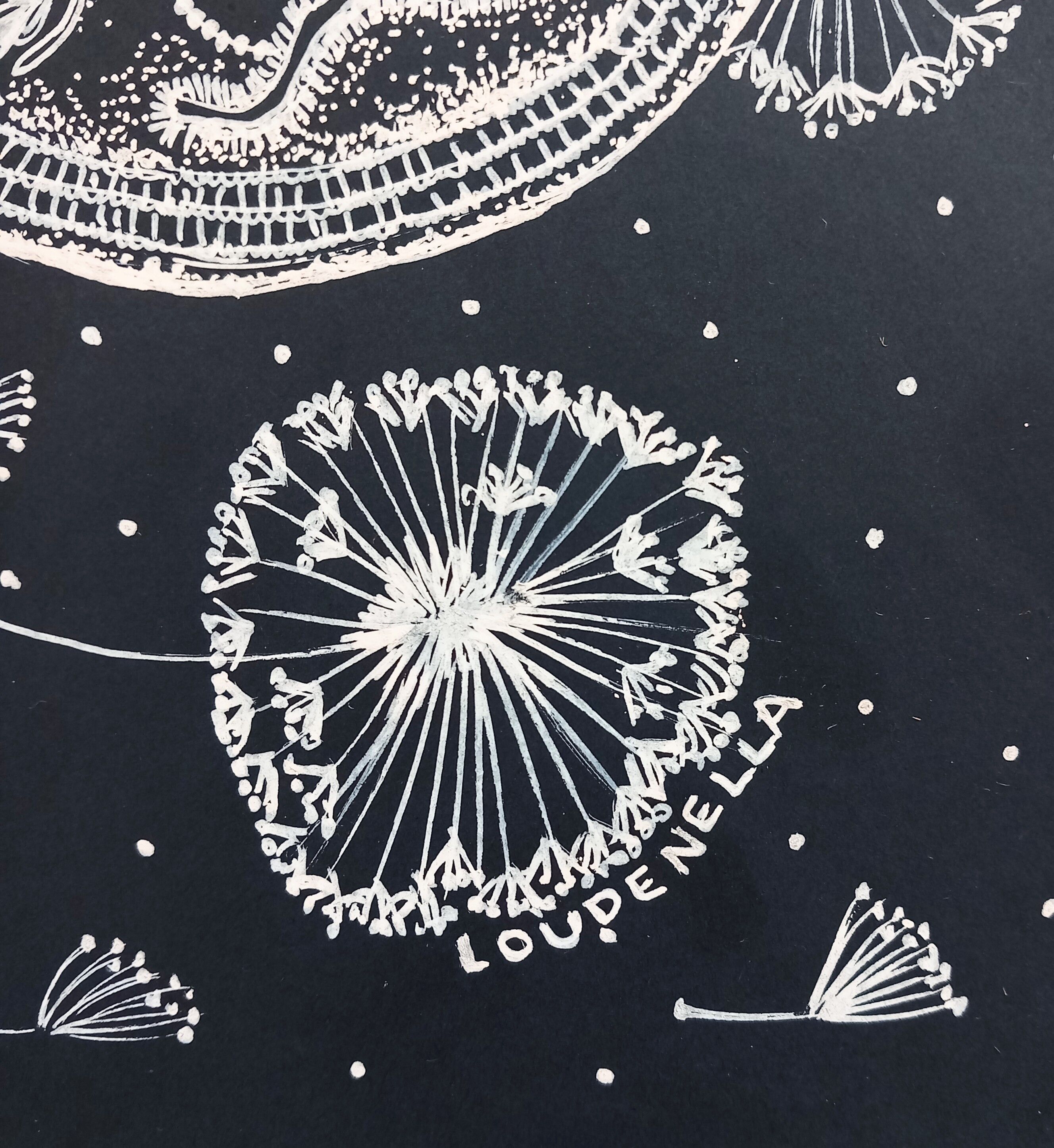 Litography made with posca on black paper The kidney