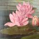 Oil on old panel heron egrets