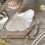 Scallop shell, natural shell catchall.