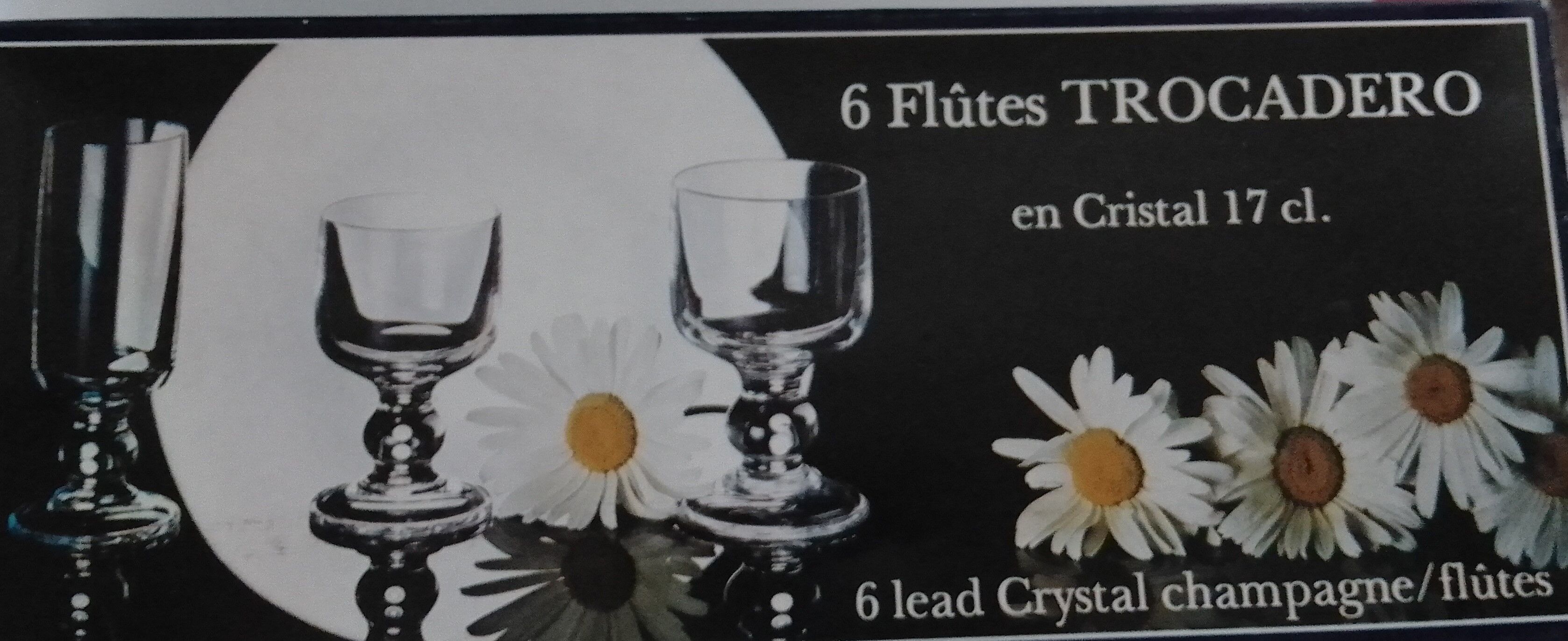 Lots de 6 flûtes à champagnes Crystal d'Arques