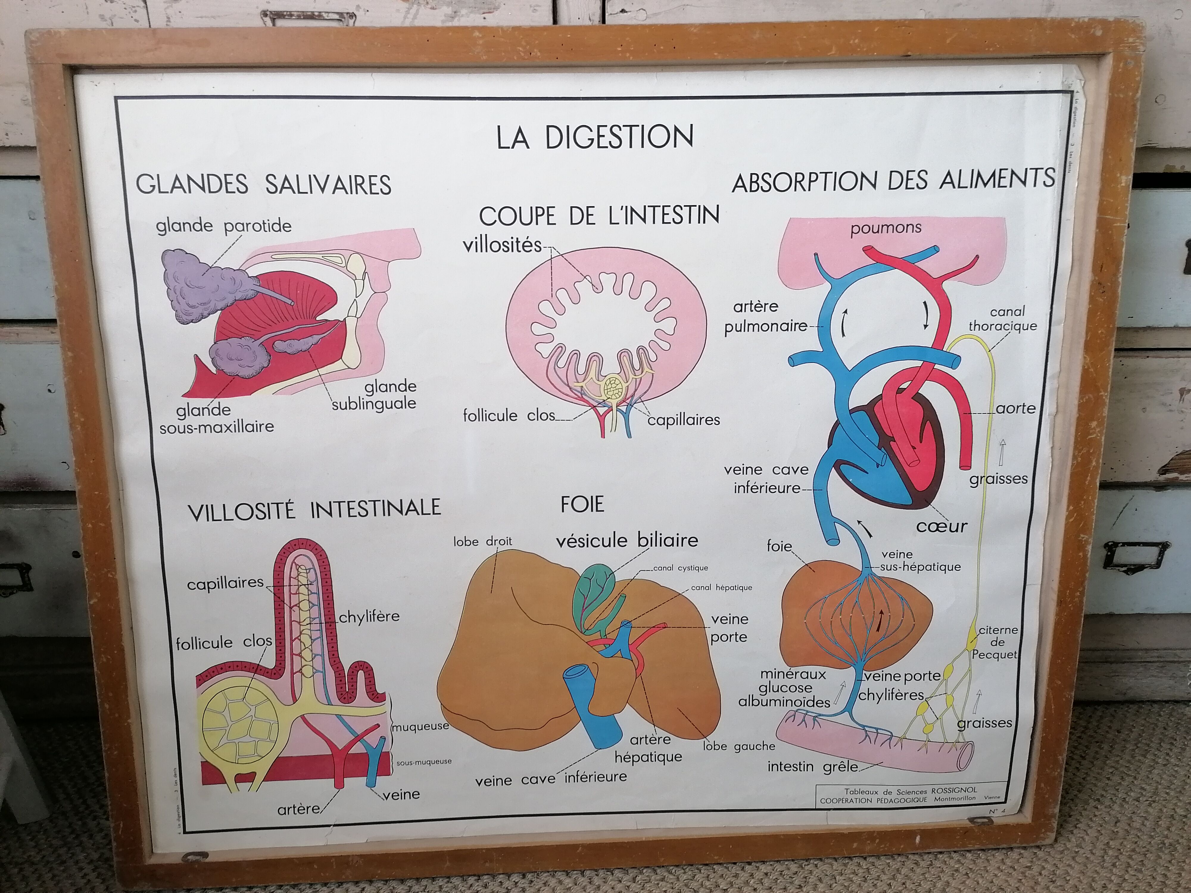 Former Rossignol school poster