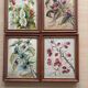 Set of 4 paintings